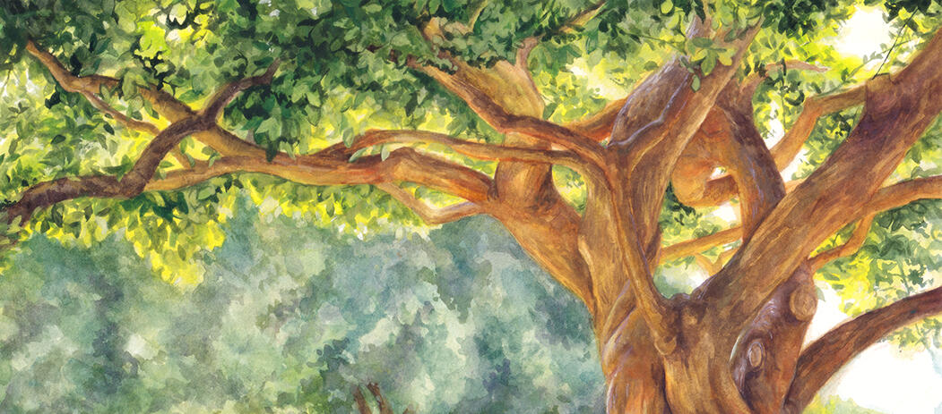 tree header by ver